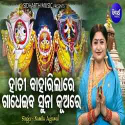 Hati Baharilare Gadheiba Suna Kuare